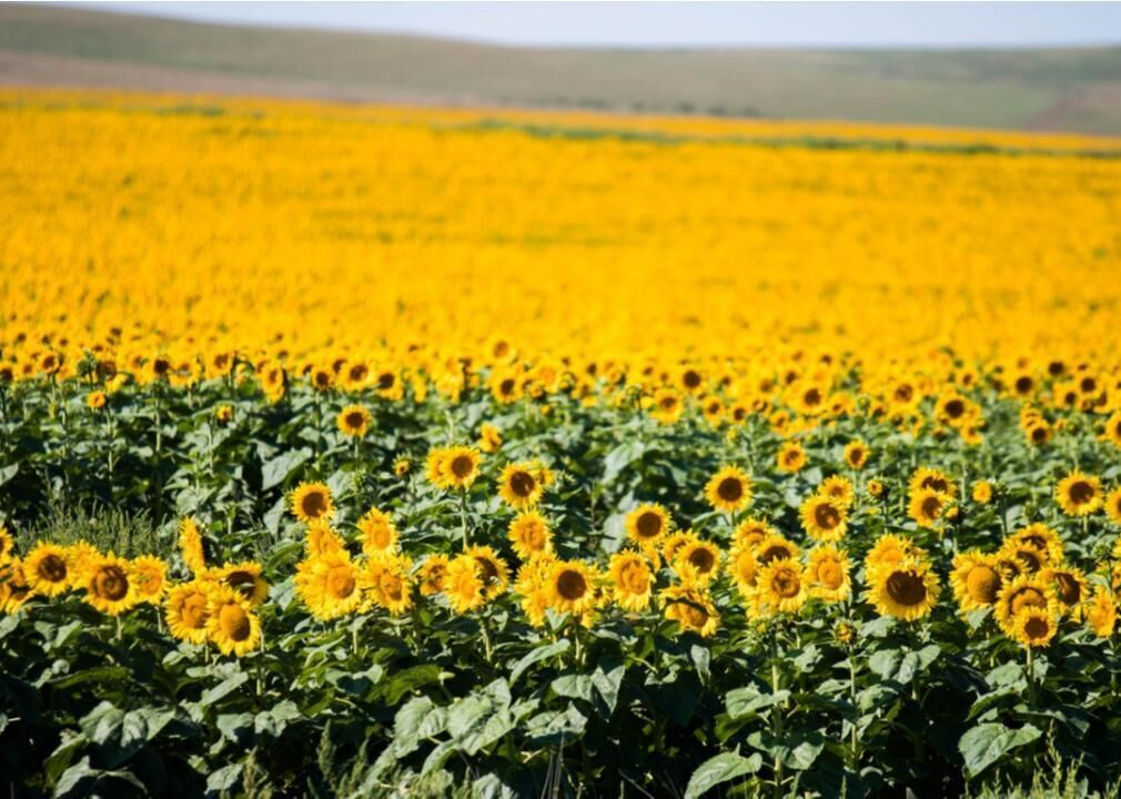 South Dakota